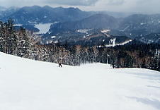 �f������