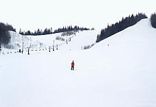 �f������