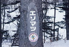 �f������