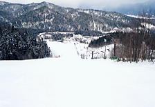 �f������