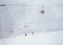 �D�y����