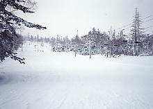 �D�y����