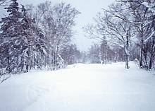 �D�y����