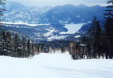 �f������