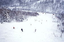 �D�y����