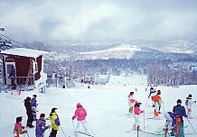 �D�y����