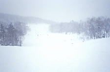 �e�C�l�n�C�����h