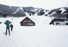 �^���O����