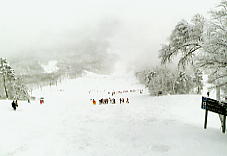 �эj���]�[�g