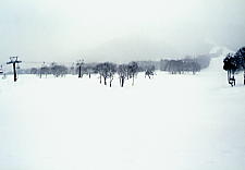 ���P����