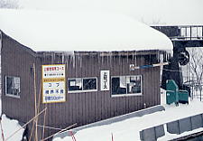 ���P����