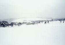 ���P����