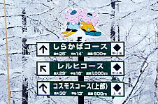 ���P����