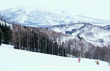 �^���O����