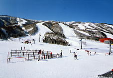 �Ė�����