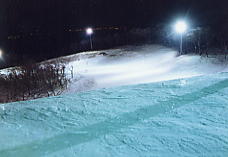 �Ė�����