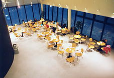 �Ė�����