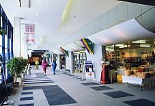 �Ė�����