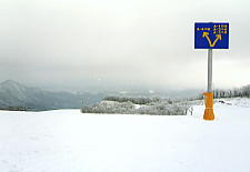 �Ė�����