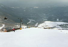 �Ė�����