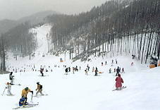 ヘブンスそのはら