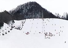 ����@�X�L�[