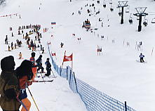 ����@�X�L�[