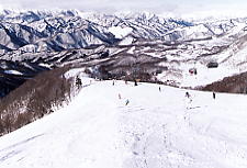 ����@�X�L�[