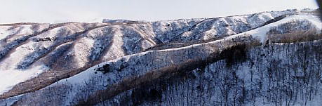 ����@�X�L�[