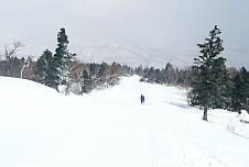 �������ڂ�