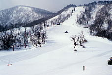 �������ڂ�