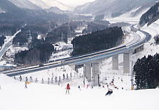 �Z���g�����[