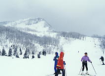 �L���[�s�b�g�o���[