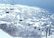 �L���[�s�b�g�o���[