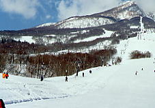 �����r�̕�