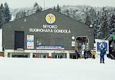 �������̌�