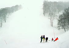 �������̌�