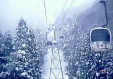 �p�C���o���[