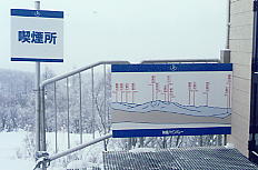 �p�C���o���[