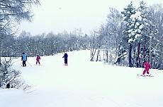 �p�C���o���[