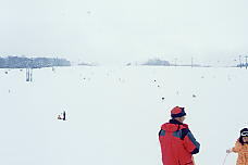 �p�C���o���[