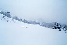 �L���[�s�b�g�o���[