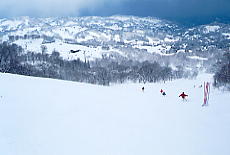 �L���[�s�b�g�o���[