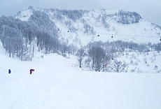 �L���[�s�b�g�o���[