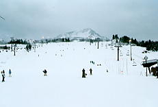 �L���[�s�b�g�o���[