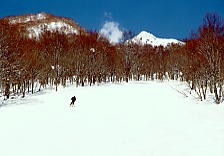 �����r�̕�