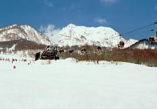 �X�L�[�ʐ^�F�r�̕�