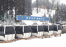 �������̌�