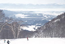 �����r�̕�