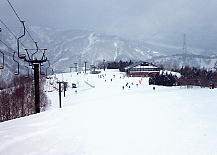 かぐら みつまた